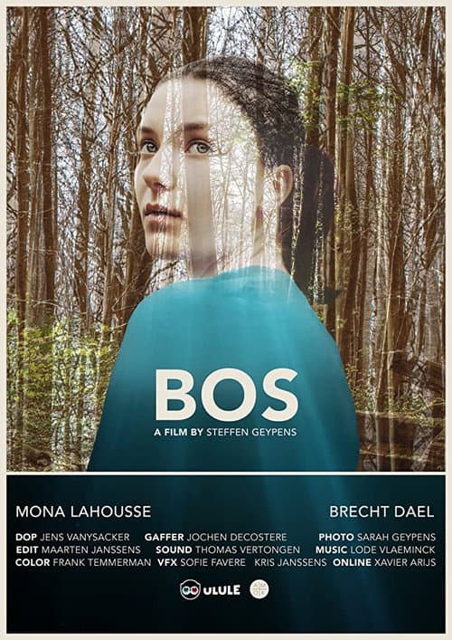 Bos (2019) poster