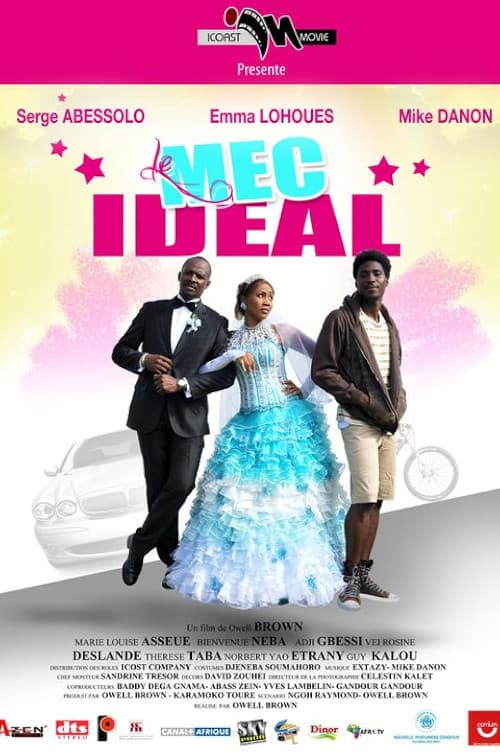 Le mec idéal (2011) poster