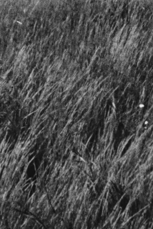 Grass (1997) poster