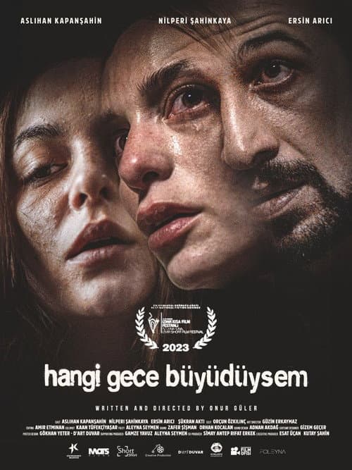 Hangi Gece Büyüdüysem (2023) poster