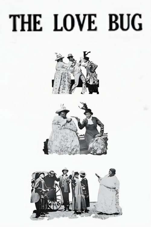 The Love Bug (1919) poster