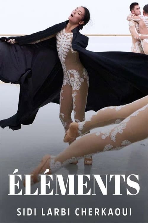 Éléments (2023) poster