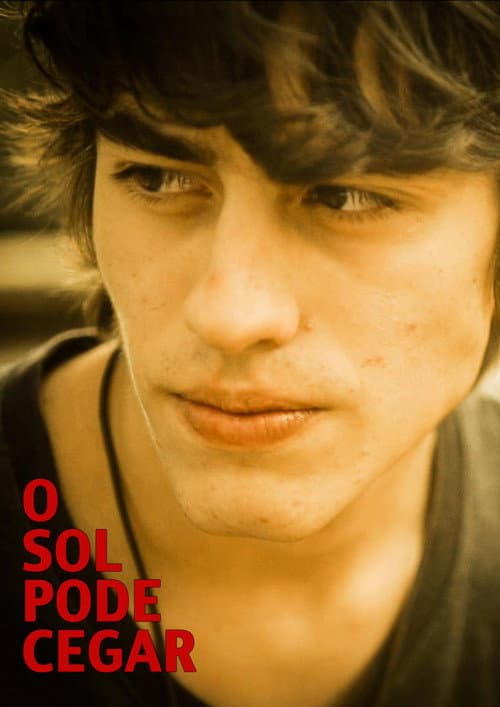 O Sol Pode Cegar (2013) poster