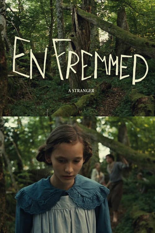 En fremmed (2014) poster