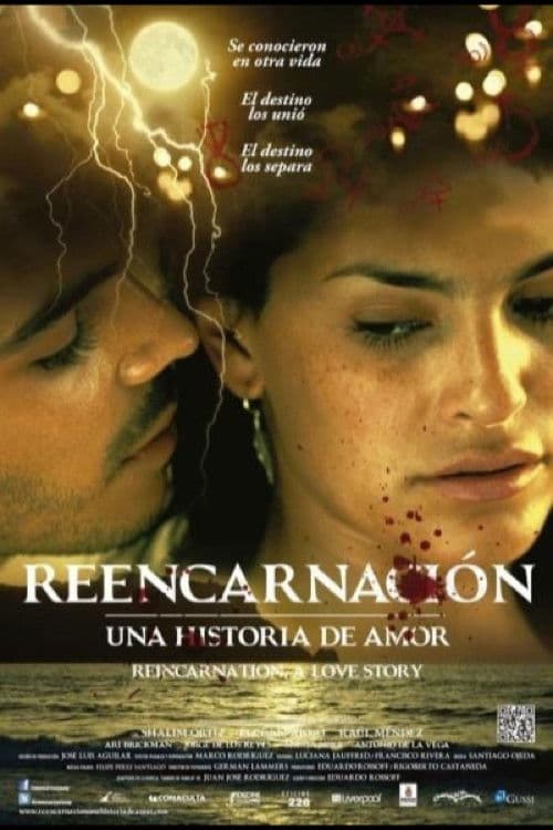 Reencarnación, Una historia de amor (2013) poster