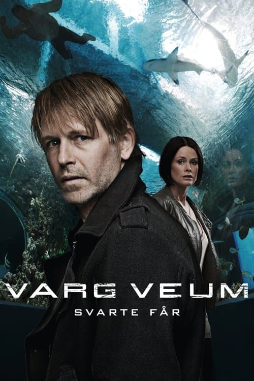 Varg Veum - Svarte får (2011) poster