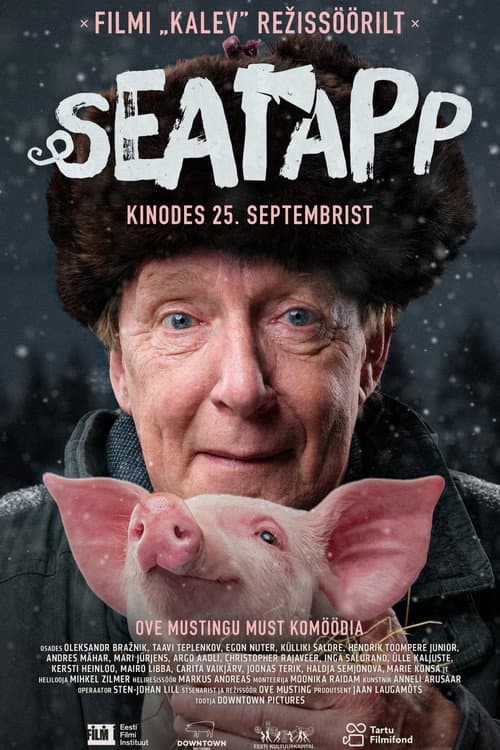 Seatapp (2026) poster