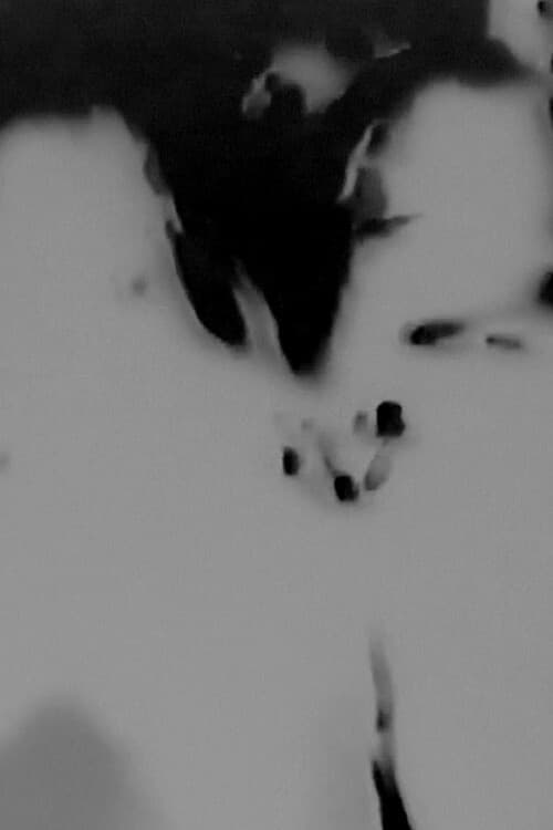 Witches Walk Monochrome (2016) poster