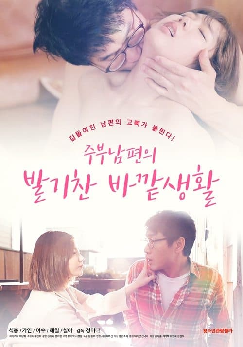 주부남편의 발기찬 바깥생활 (2020) poster