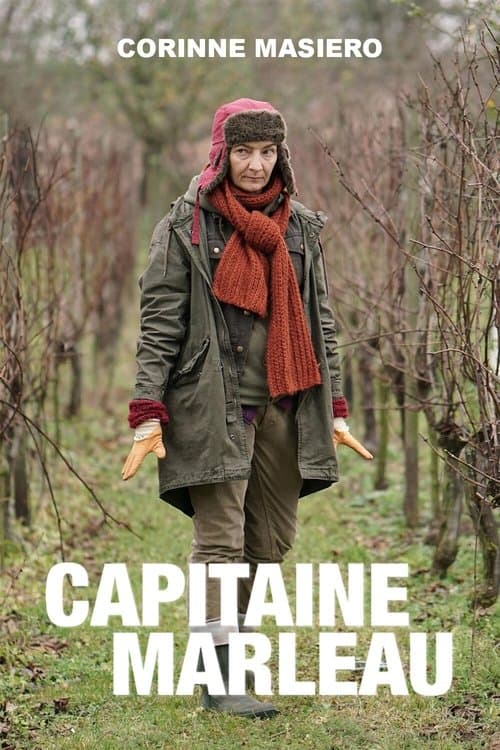 Capitaine Marleau (2015) poster