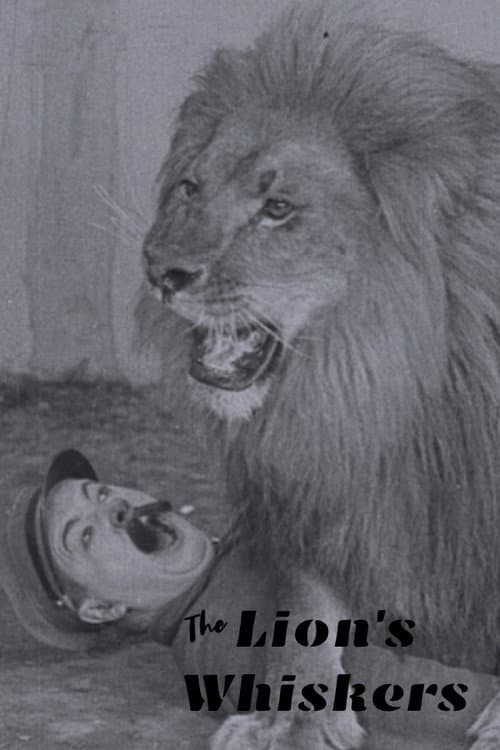 The Lion's Whiskers (1925) poster