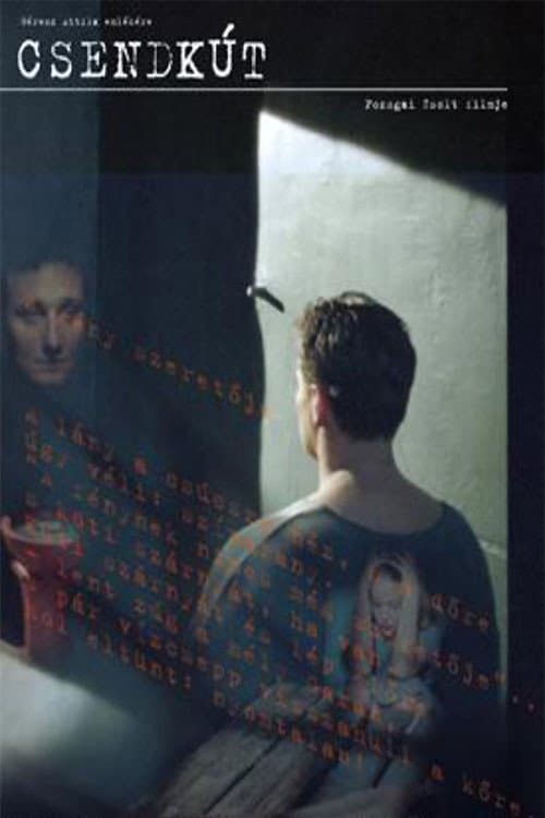 Csendkút (2007) poster