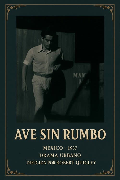 Ave sin rumbo (1937) poster