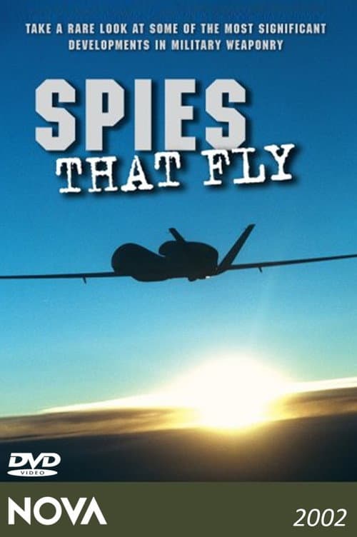 Spies That Fly (2003) poster
