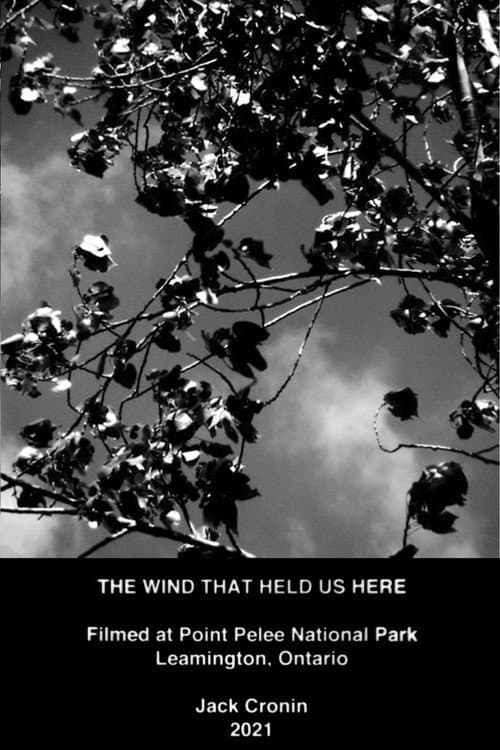 The Wind That Held Us Here (2021) poster