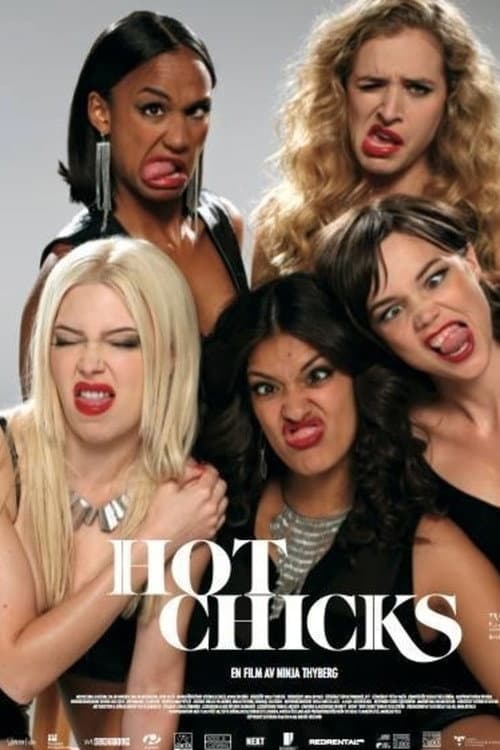 Hot Chicks (2014) poster