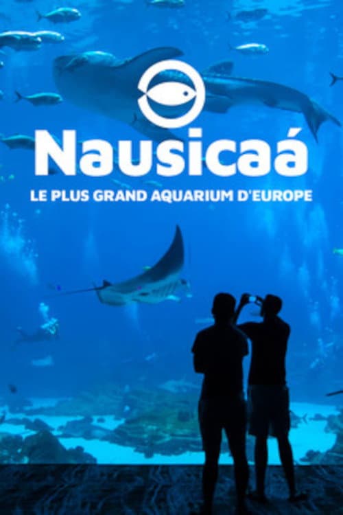 Nausicaa, le plus grand aquarium d'Europe (2019) poster