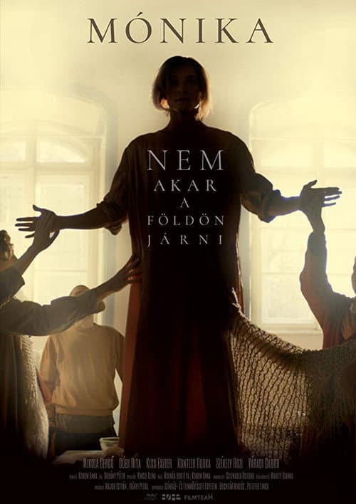 Mónika nem akar a földön járni (2019) poster