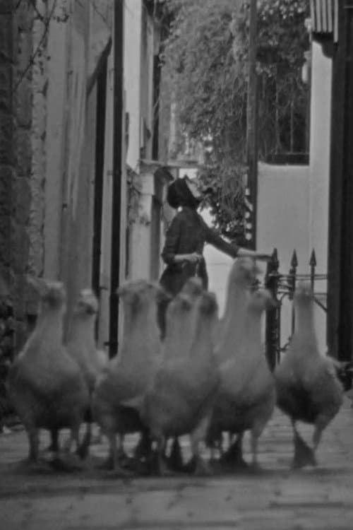 The Gooseherd (2017) poster