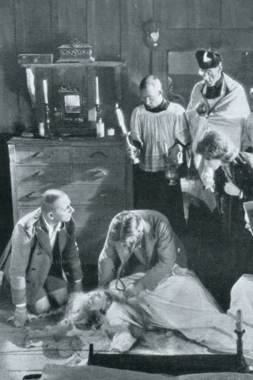 The Honeymoon (1929) poster