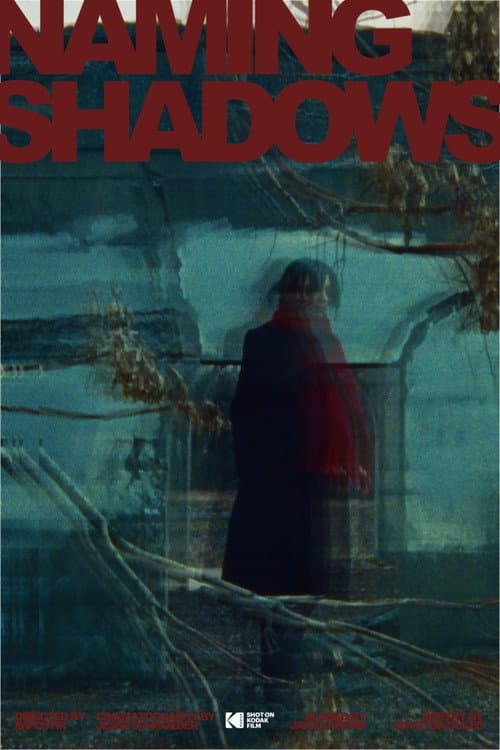 Naming Shadows (2026) poster