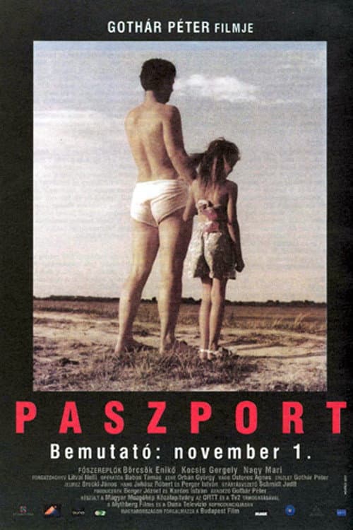 Paszport (2001) poster