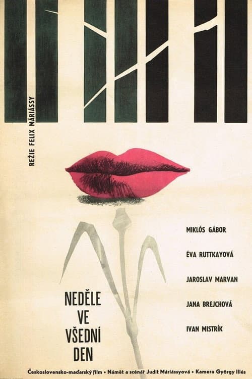 Pirosbetűs hétköznapok (1962) poster