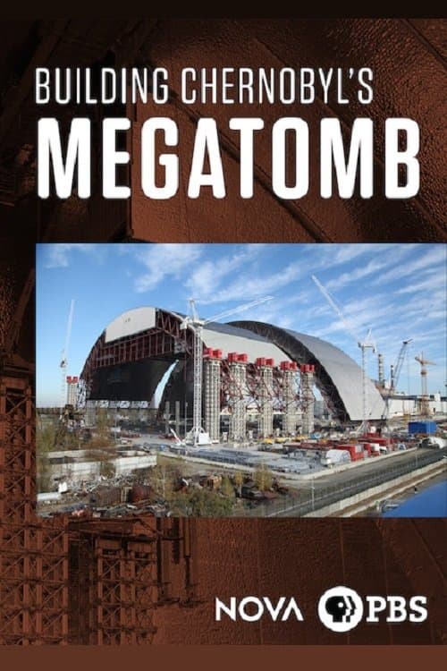 Inside Chernobyl's Mega Tomb (2016) poster