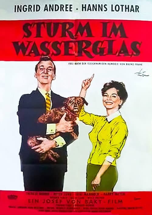 Sturm im Wasserglas (1960) poster