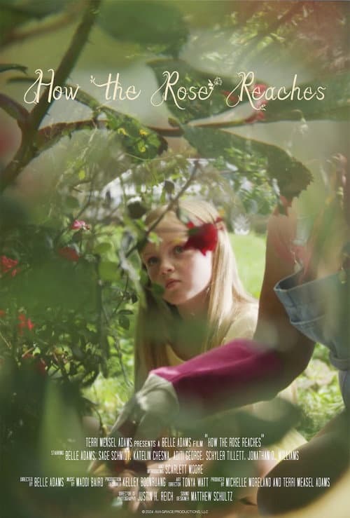 How the Rose Reaches (2024) poster