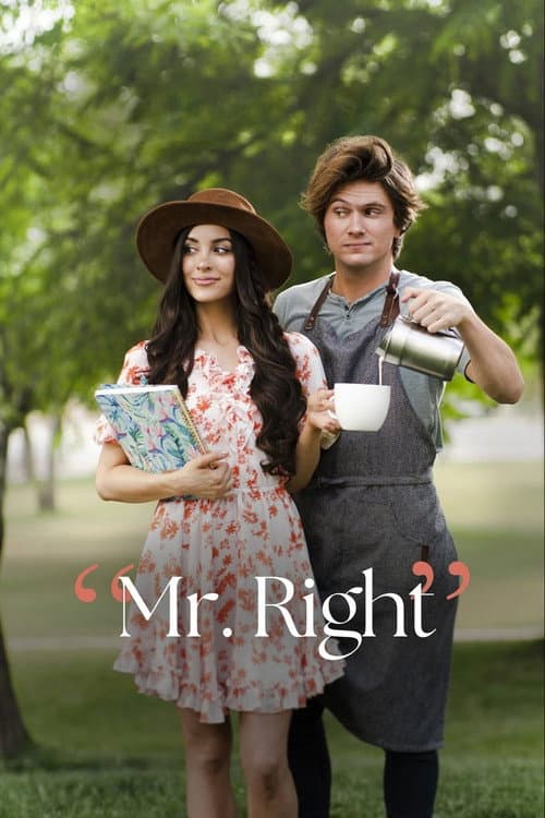 Mr. Right (2023) poster