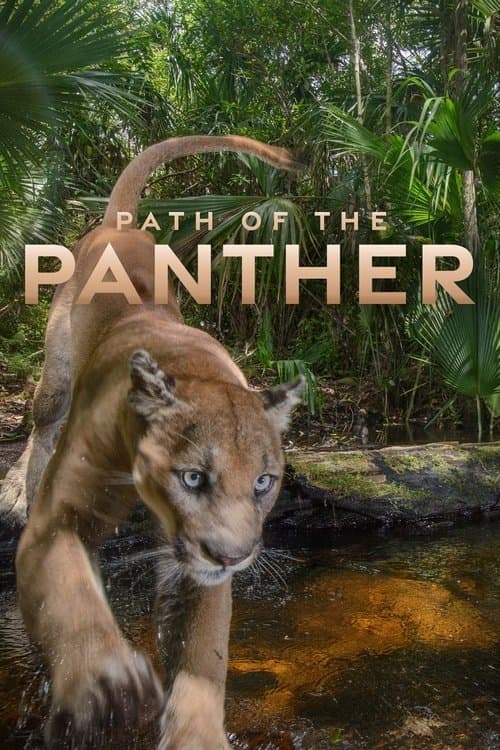 Path of the Panther (2022) poster