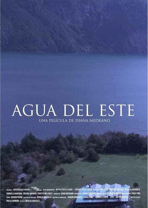 Agua del este (2020) poster