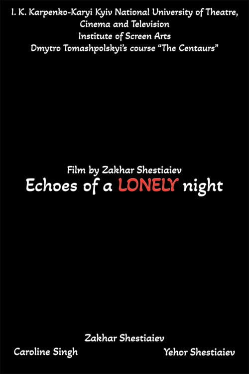 Echoes of a LONELY night (2024) poster