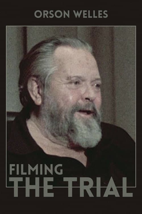 Filming 'The Trial' (2002) poster