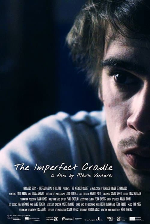 O Berço Imperfeito (2013) poster