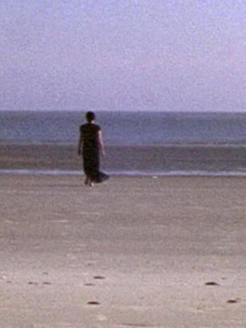 Post-Partum (2004) poster