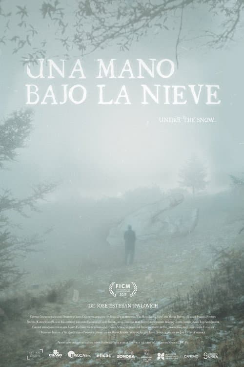 Una Mano Bajo La Nieve (2022) poster