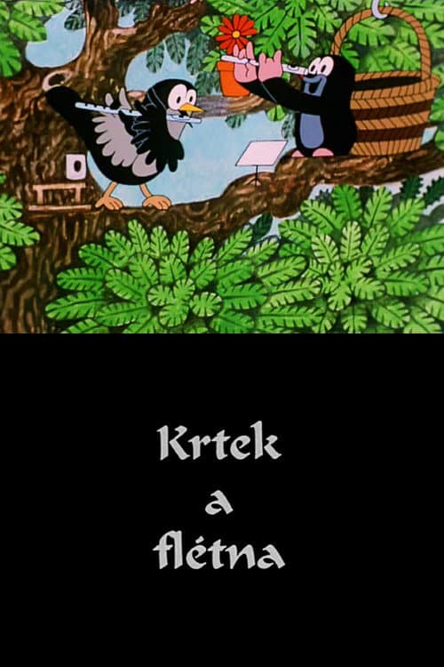 Krtek a flétna (1999) poster