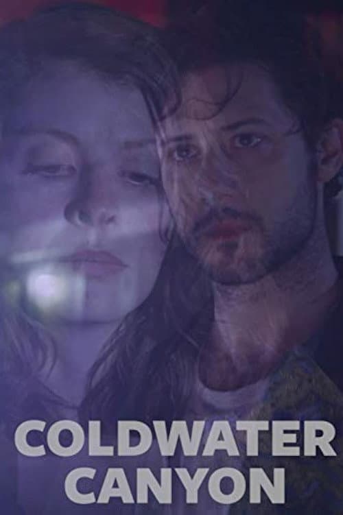 Coldwater Canyon (2016) poster
