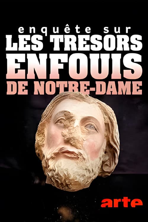 Enquête sur les trésors enfouis de Notre-Dame de Paris (2024) poster