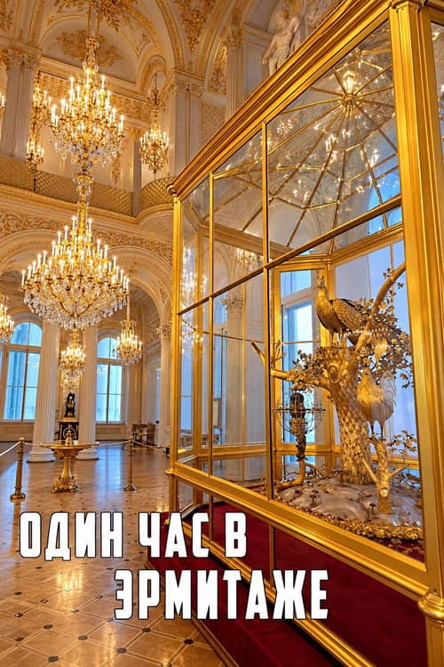 Один час в Эрмитаже (2008) poster