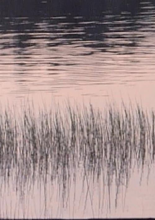 Ostensibly (1989) poster
