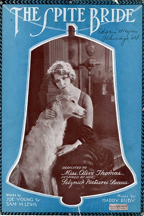The Spite Bride (1919) poster
