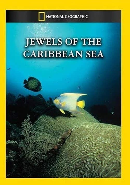 Jewels of the Caribbean Sea (1994) poster
