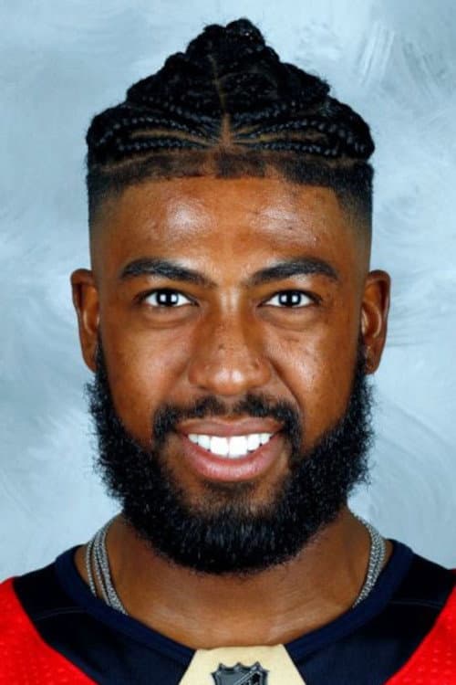 Anthony Duclair foto