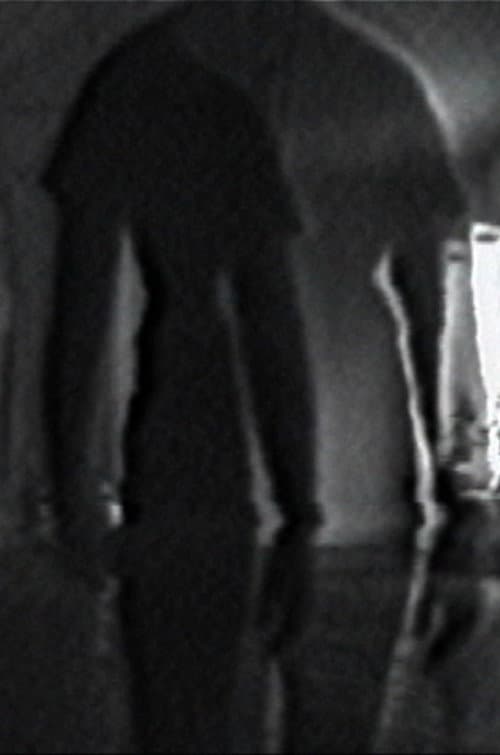 Double Vision (1971) poster
