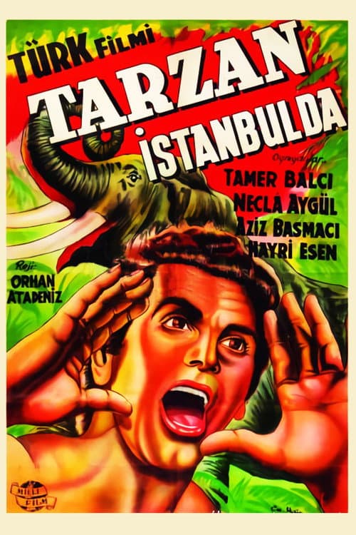 Tarzan İstanbul'da (1952) poster
