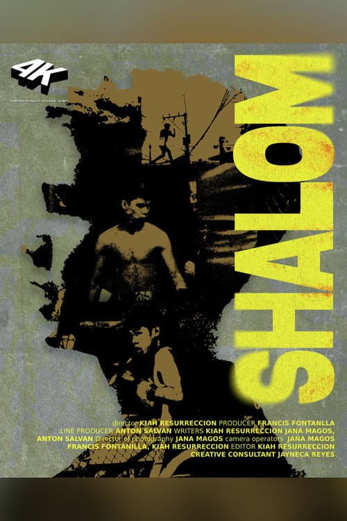 Shalom (2026) poster
