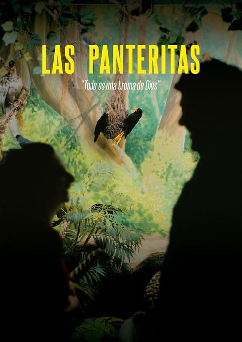Las panteritas (2025) poster